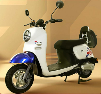 小鸟电动摩托车 爱迪生30（XN500DQT-4B）