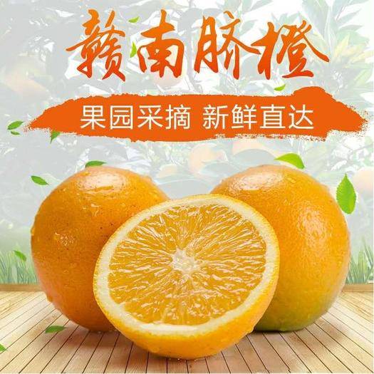 脐橙