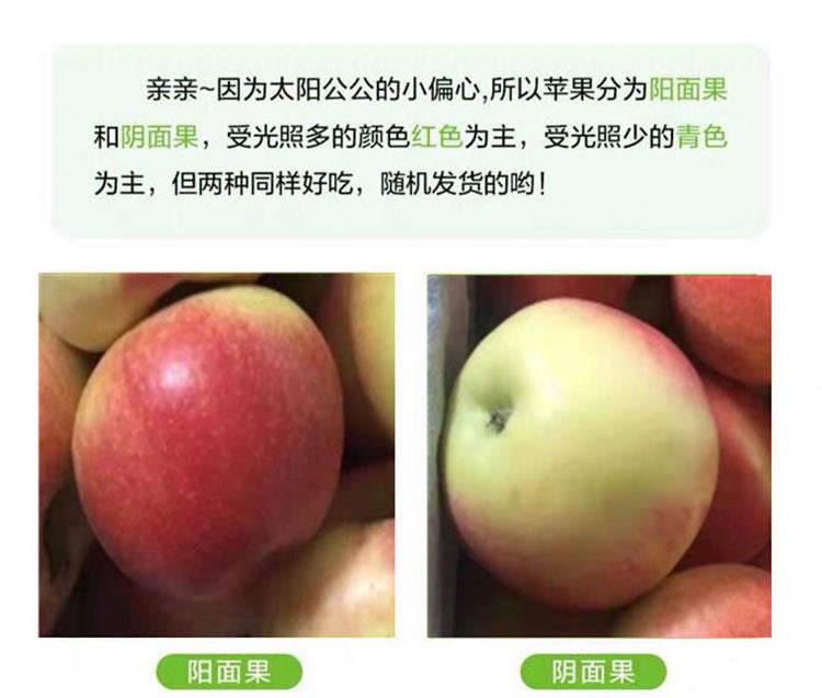 红富士苹果