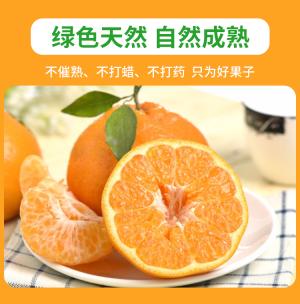耙耙柑